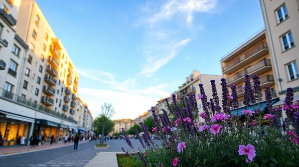 Découvrez comment catanéo peut transformer votre projet immobilier à lyon